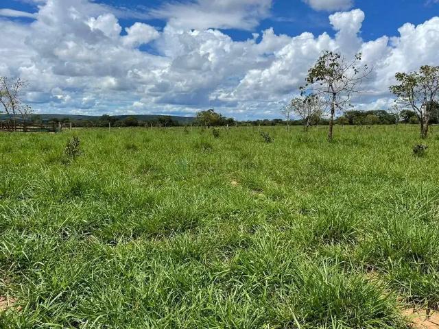 Fazenda venda em Região Geográfica Imediata de Cuiabá, Região Metropolitana do Vale do Rio Cuiabá