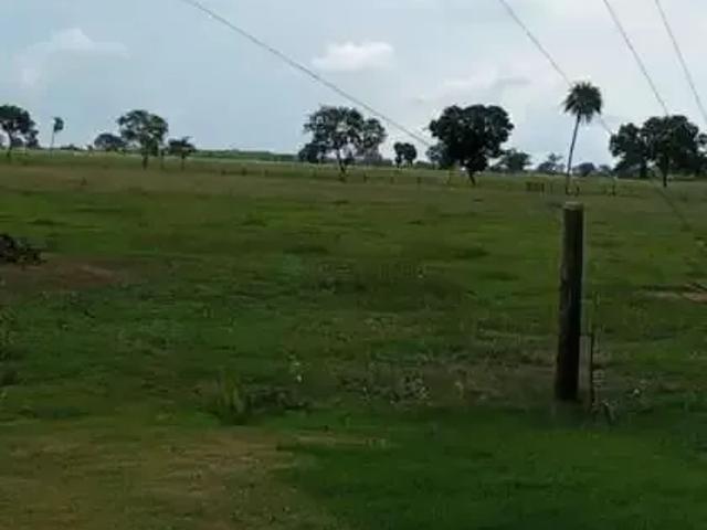 Fazenda venda em Região Geográfica Imediata de Cuiabá, Região Metropolitana do Vale do Rio Cuiabá