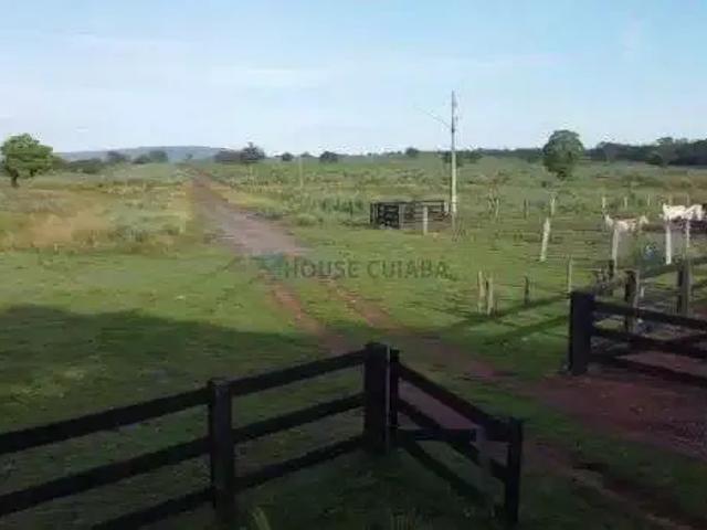 Fazenda venda em Região Geográfica Imediata de Cuiabá, Região Metropolitana do Vale do Rio Cuiabá