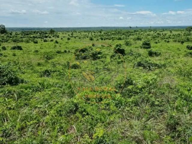 Fazenda venda em Região Geográfica Imediata de Cuiabá, Região Metropolitana do Vale do Rio Cuiabá