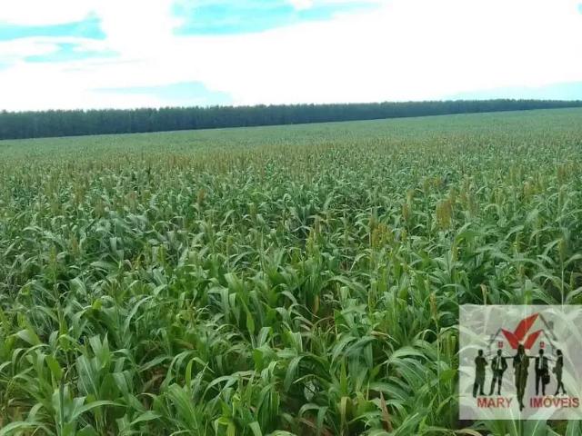 Fazenda venda em Região Geográfica Imediata de Cuiabá, Região Metropolitana do Vale do Rio Cuiabá