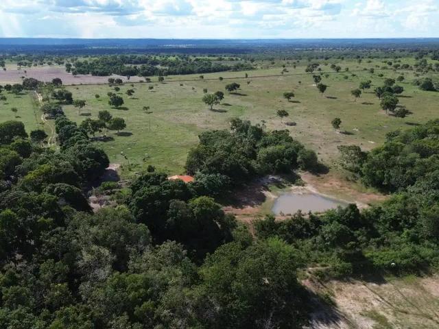 Fazenda venda em Região Geográfica Imediata de Cuiabá, Região Metropolitana do Vale do Rio Cuiabá
