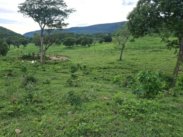 Fazenda venda em Região Geográfica Imediata de Cuiabá, Região Metropolitana do Vale do Rio Cuiabá
