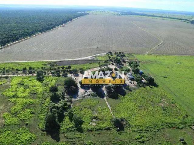 Fazenda venda em Região Geográfica Imediata de Cuiabá, Região Metropolitana do Vale do Rio Cuiabá