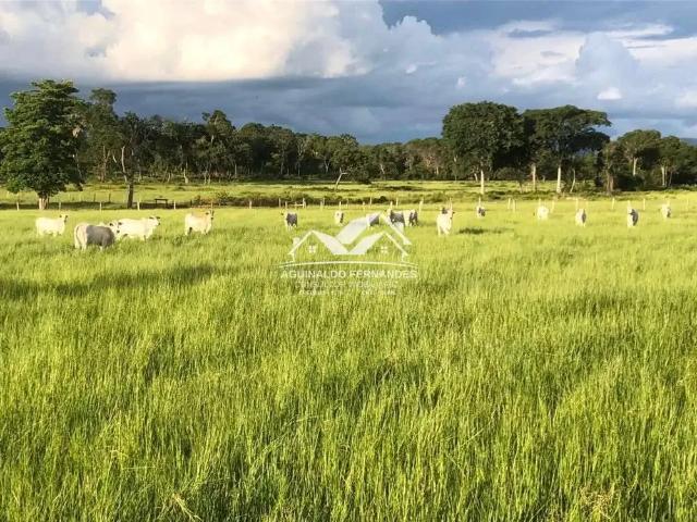 Fazenda venda em Região Geográfica Imediata de Cuiabá, Região Metropolitana do Vale do Rio Cuiabá