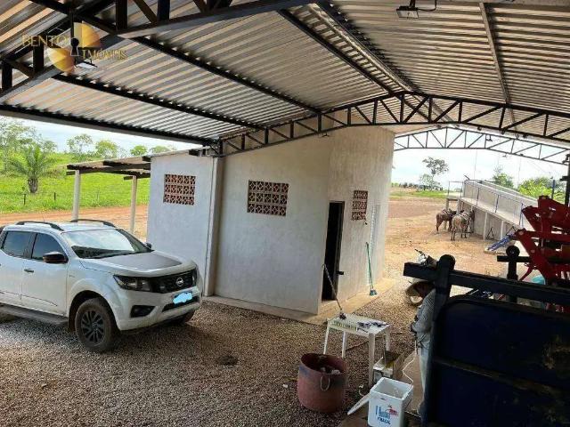 Fazenda venda em Região Geográfica Imediata de Cuiabá, Região Metropolitana do Vale do Rio Cuiabá