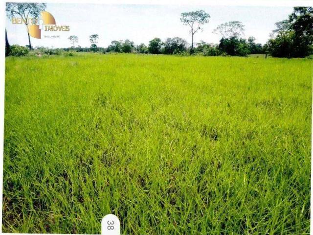 Fazenda venda em Região Geográfica Imediata de Cuiabá, Região Metropolitana do Vale do Rio Cuiabá