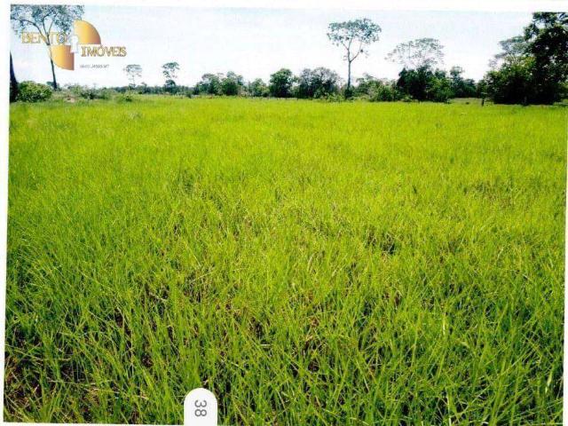 Fazenda venda em Ribeirão do Lipa, Cuiabá