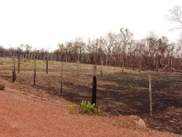 Fazenda venda em Região Geográfica Imediata de Cuiabá, Região Metropolitana do Vale do Rio Cuiabá