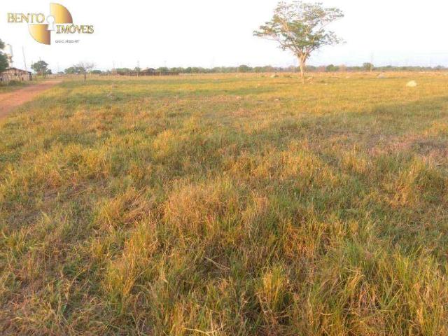 Fazenda venda em Araés, Cuiabá