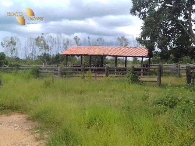 Fazenda venda em Região Geográfica Imediata de Cuiabá, Região Metropolitana do Vale do Rio Cuiabá