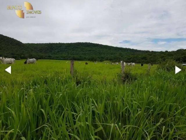 Fazenda venda em Região Geográfica Imediata de Cuiabá, Região Metropolitana do Vale do Rio Cuiabá
