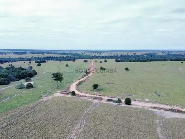 Fazenda venda em Região Geográfica Imediata de Cuiabá, Região Metropolitana do Vale do Rio Cuiabá