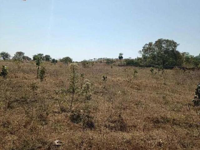 Fazenda venda em Região Geográfica Imediata de Cuiabá, Região Metropolitana do Vale do Rio Cuiabá