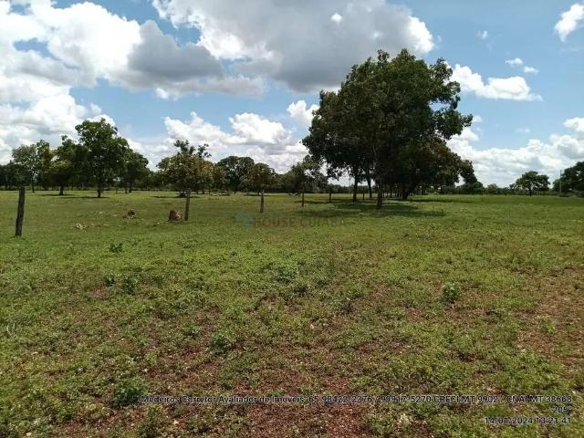 Fazenda venda em Região Geográfica Imediata de Cuiabá, Região Metropolitana do Vale do Rio Cuiabá