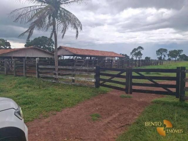 Fazenda venda em Região Geográfica Imediata de Cuiabá, Região Metropolitana do Vale do Rio Cuiabá