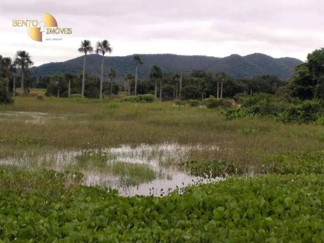 Fazenda venda em Região Geográfica Imediata de Cuiabá, Região Metropolitana do Vale do Rio Cuiabá