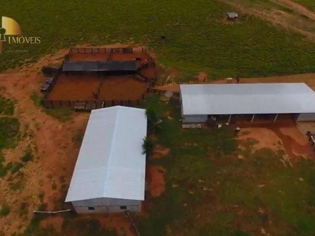 Fazenda venda em Região Geográfica Imediata de Cuiabá, Região Metropolitana do Vale do Rio Cuiabá