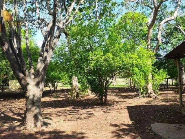 Fazenda venda em Região Geográfica Imediata de Cuiabá, Região Metropolitana do Vale do Rio Cuiabá