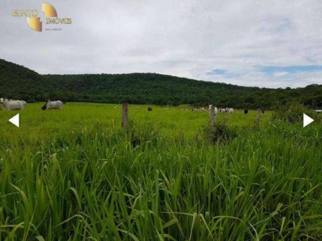 Fazenda venda em Araés, Cuiabá