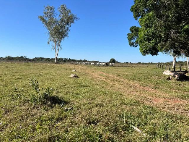Fazenda venda em Região Geográfica Imediata de Cuiabá, Região Metropolitana do Vale do Rio Cuiabá