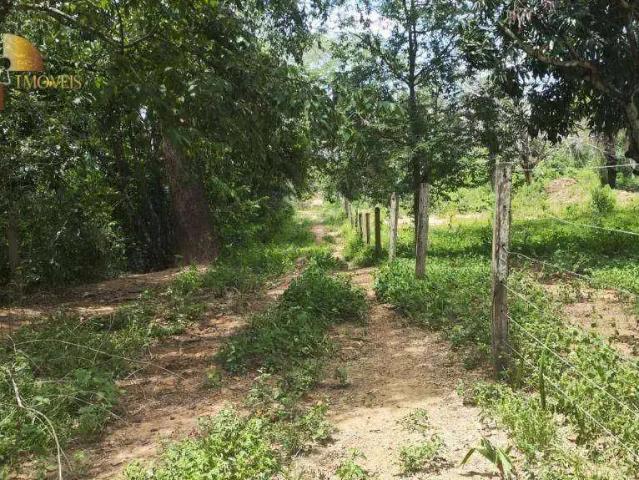 Fazenda venda em Região Geográfica Imediata de Cuiabá, Região Metropolitana do Vale do Rio Cuiabá