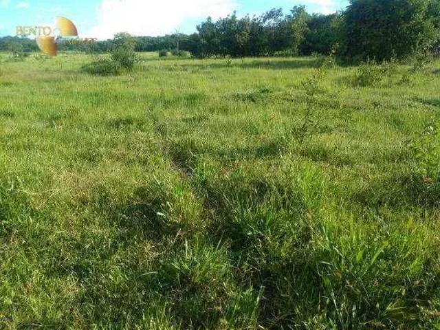 Fazenda venda em Região Geográfica Imediata de Cuiabá, Região Metropolitana do Vale do Rio Cuiabá