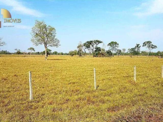 Fazenda venda em Região Geográfica Imediata de Cuiabá, Região Metropolitana do Vale do Rio Cuiabá