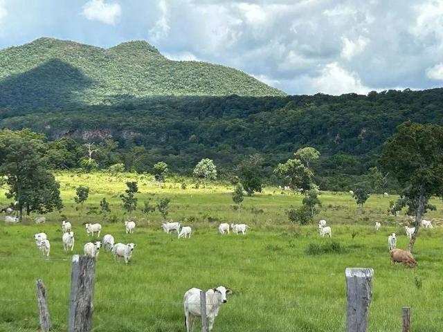 Fazenda venda em Região Geográfica Imediata de Cuiabá, Região Metropolitana do Vale do Rio Cuiabá