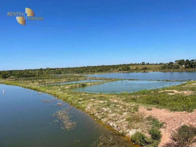 Fazenda venda em Região Geográfica Imediata de Cuiabá, Região Metropolitana do Vale do Rio Cuiabá