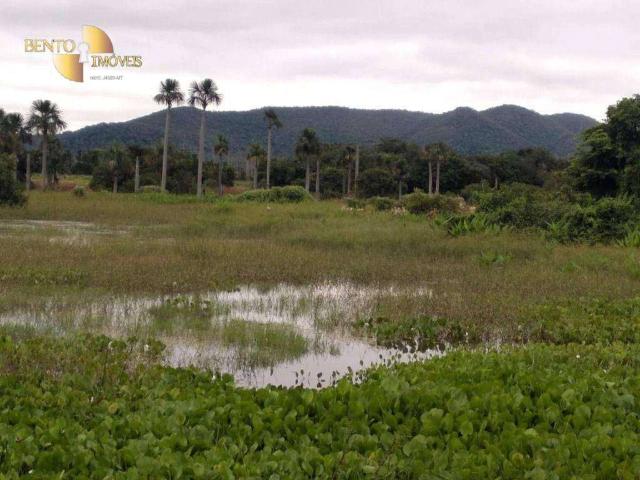Fazenda venda em Araés, Cuiabá