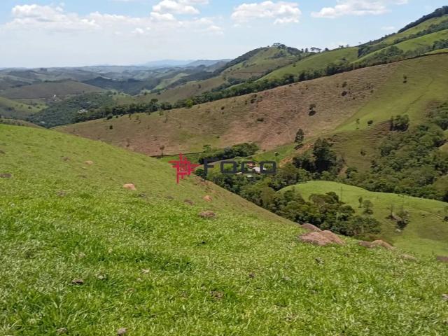Fazenda venda em Cunha