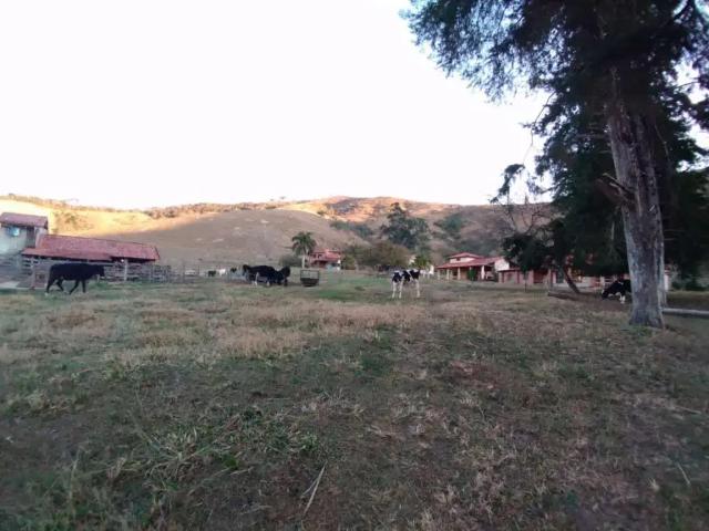 Fazenda venda em Região Imediata de Ourinhos, Ourinhos