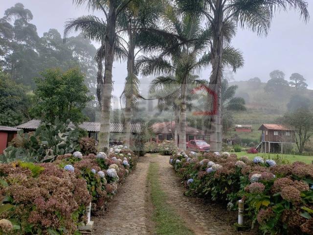 Fazenda venda em Cunha