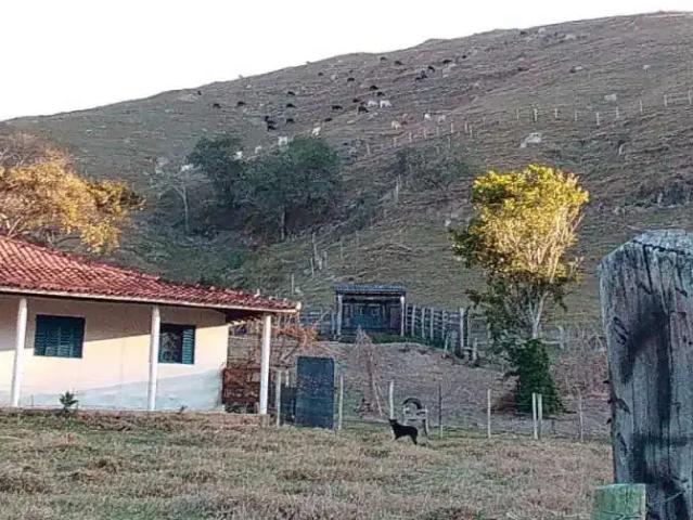 Fazenda venda em Região Imediata de Guaratinguetá, Região Metropolitana do Vale do Paraíba e Litoral Norte
