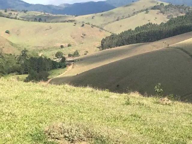 Fazenda venda em Região Imediata de Guaratinguetá, Região Metropolitana do Vale do Paraíba e Litoral Norte