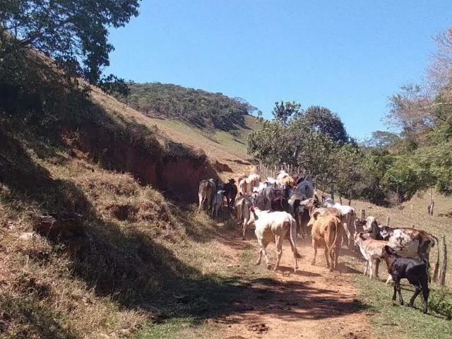 Fazenda venda em Região Imediata de Ourinhos, Ourinhos