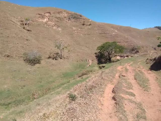 Fazenda venda em Região Imediata de Ourinhos, Ourinhos