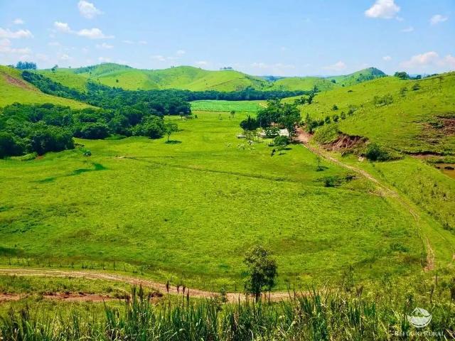 Fazenda venda em Região Imediata de Ourinhos, Ourinhos
