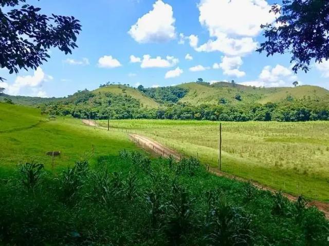 Fazenda venda em Região Imediata de Ourinhos, Ourinhos