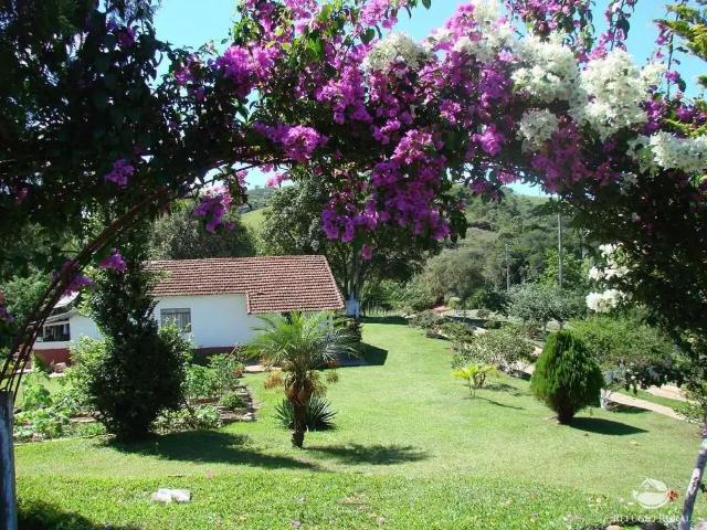 Fazenda venda em Região Imediata de Campinas, Região Metropolitana de Campinas