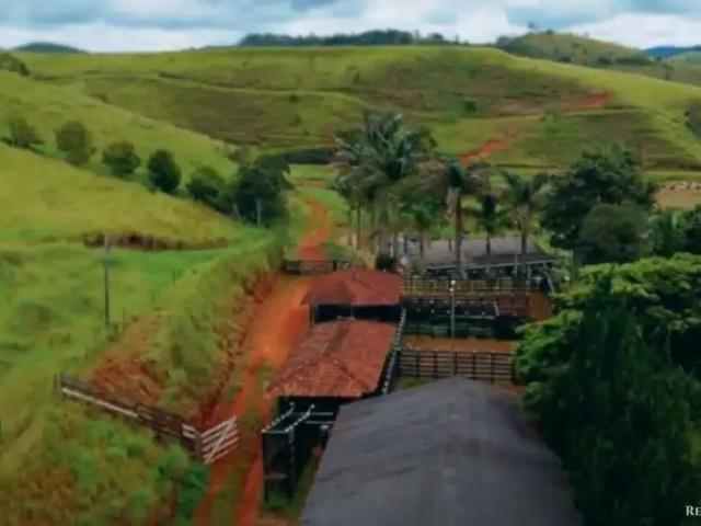 Fazenda venda em Região Imediata de Campinas, Região Metropolitana de Campinas