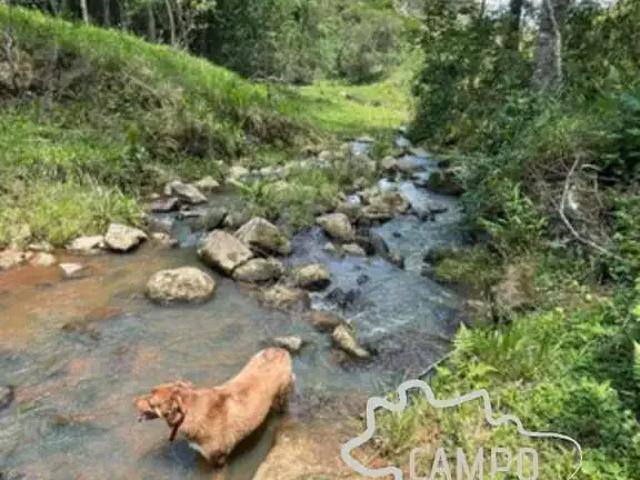 Fazenda venda em Região Imediata de Guaratinguetá, Região Metropolitana do Vale do Paraíba e Litoral Norte