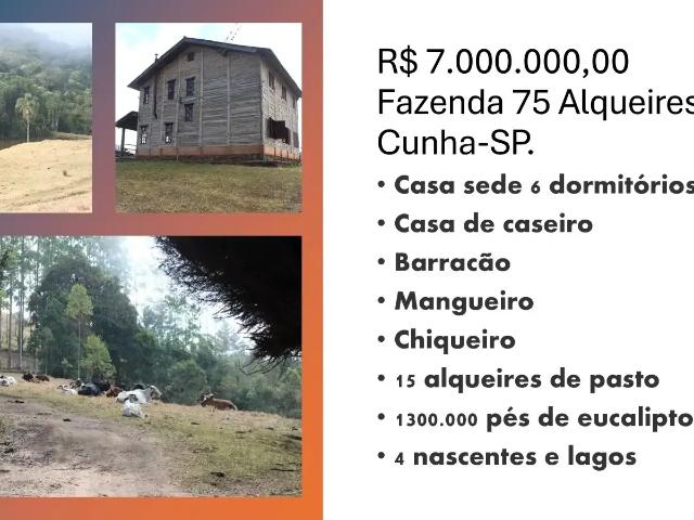 Fazenda venda em Região Imediata de Guaratinguetá, Região Metropolitana do Vale do Paraíba e Litoral Norte