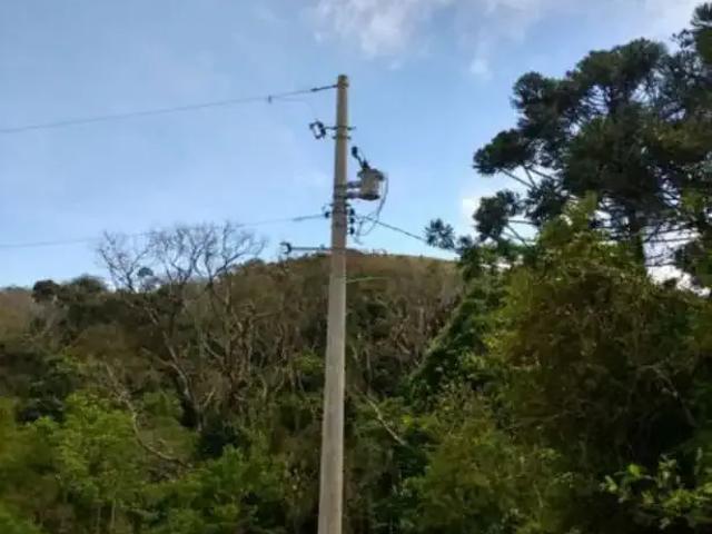 Fazenda venda em Região Imediata de Guaratinguetá, Região Metropolitana do Vale do Paraíba e Litoral Norte