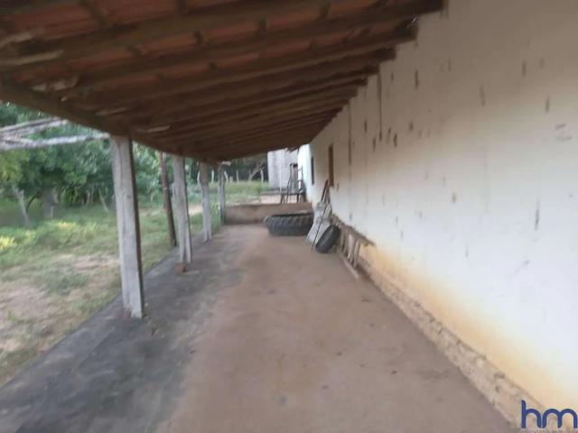 Fazenda venda em Curimatá, Região Nordeste
