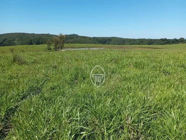 Fazenda venda em Região Geográfica Imediata de Telêmaco Borba, Curiuva