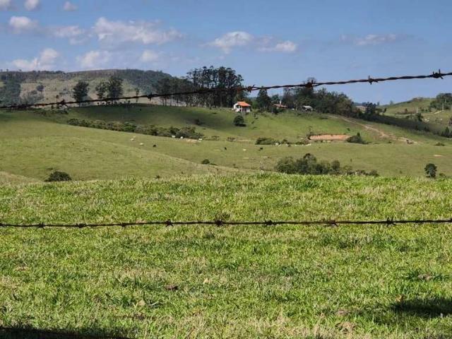 Fazenda venda em Vila Bigon, Curiúva