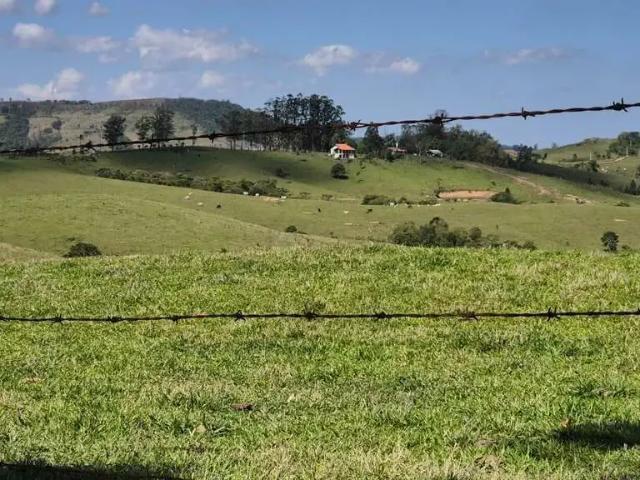 Fazenda venda em Região Geográfica Imediata de Telêmaco Borba, Curiuva