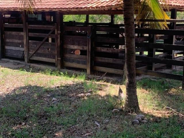 Fazenda venda em Curvelo, Região Geográfica Intermediária de Belo Horizonte